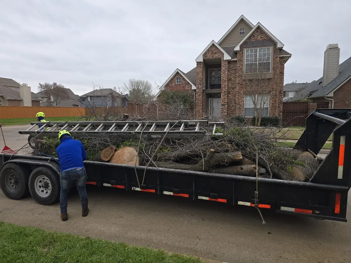 Expert Lot Clearing with proper safety equipment in Clermont